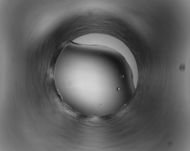 X0000115480431200911201844