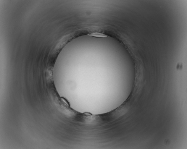 X0000115480432200911201844