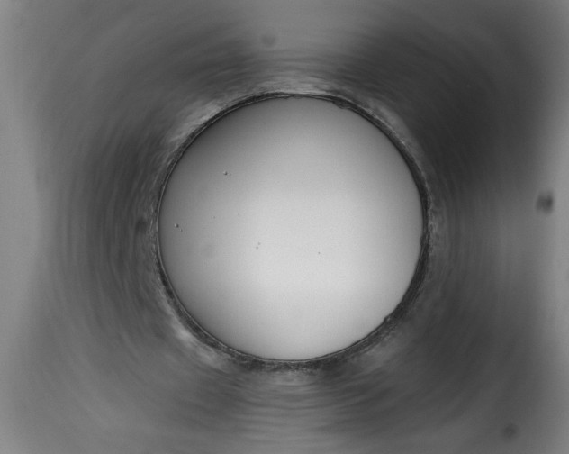 X0000115480433200911201843