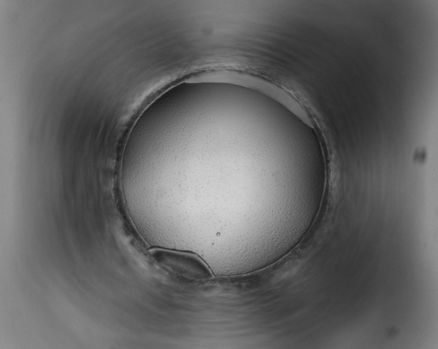 X0000115480434200911201843