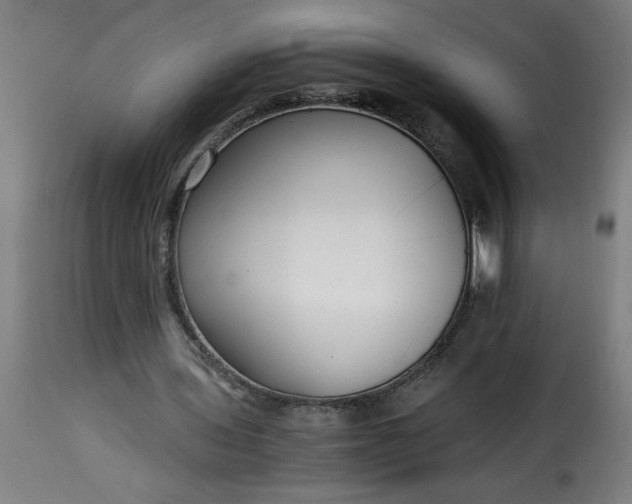 X0000115480435200911201843