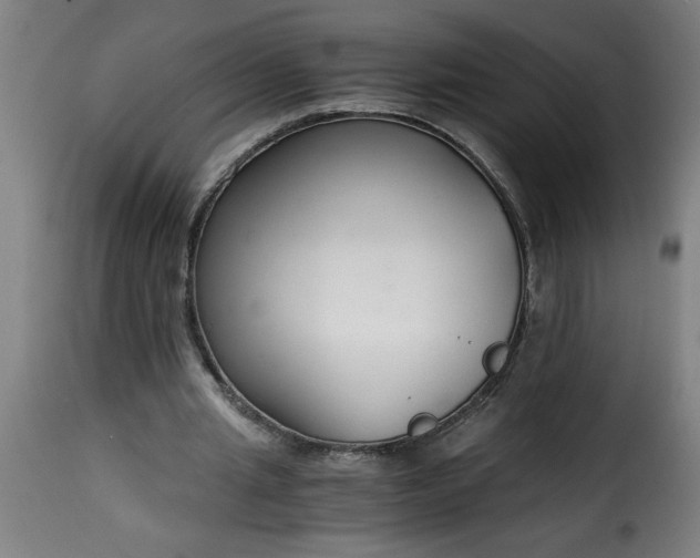 X0000115480437200911201843