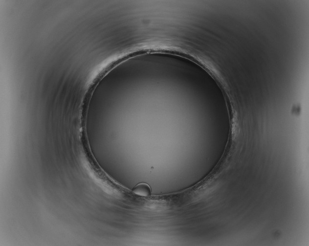 X0000115480438200911201843