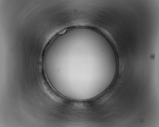 X0000115480439200911201843