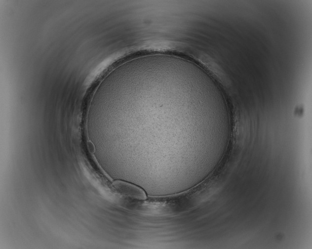 X0000115480440200911201843