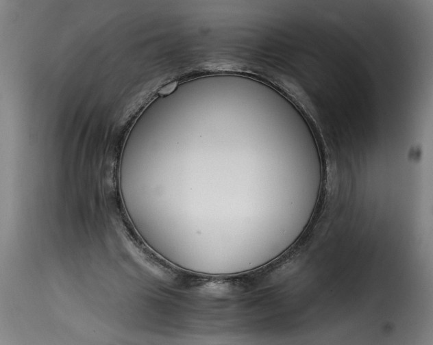 X0000115480441200911201843