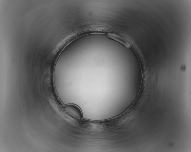 X0000115480442200911201843