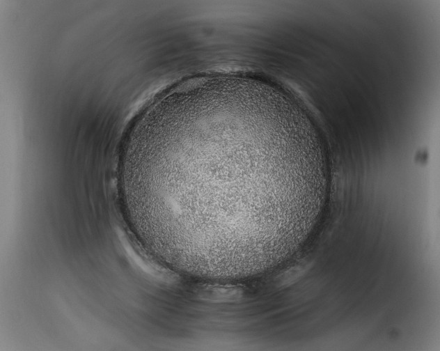 X0000115480443200911201843