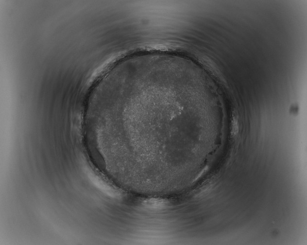 X0000115480444200911201843