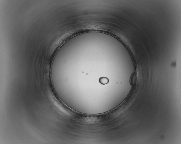 X0000115480445200911201843