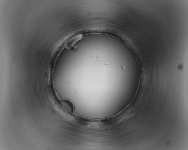 X0000115480446200911201843