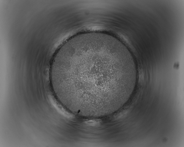 X0000115480447200911201843