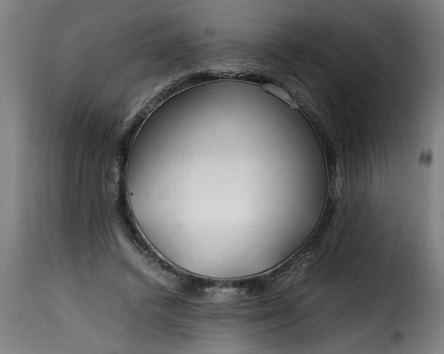 X0000115480448200911201843