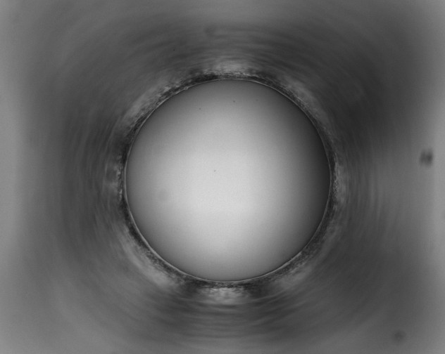 X0000115480449200911201843