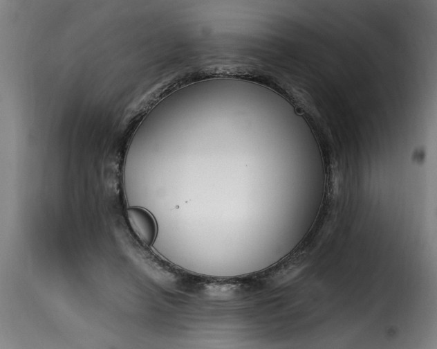 X0000115480450200911201843