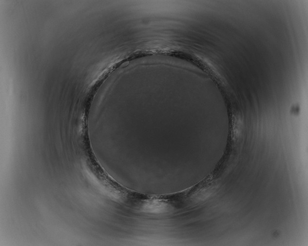 X0000115480451200911201843