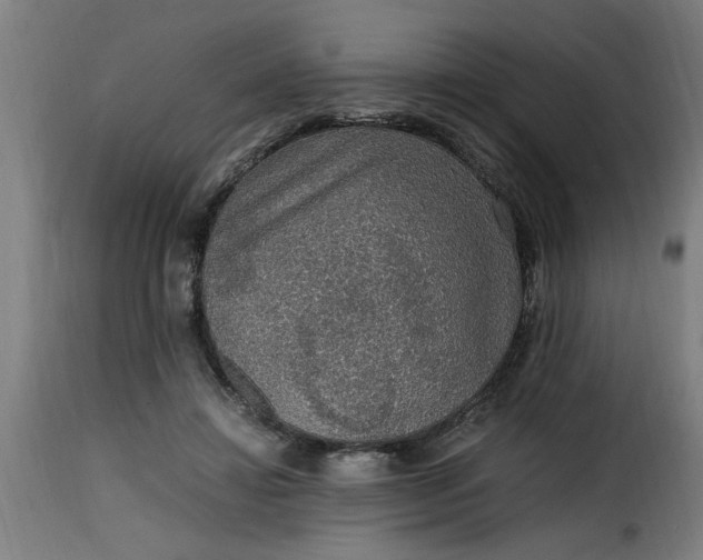 X0000115480452200911201843