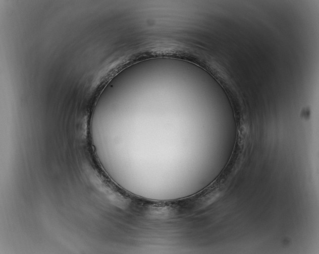 X0000115480454200911201843