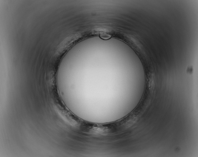 X0000115480455200911201843