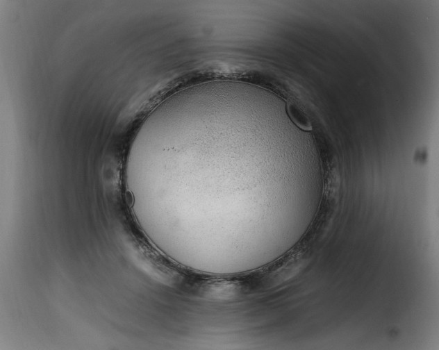 X0000115480456200911201843