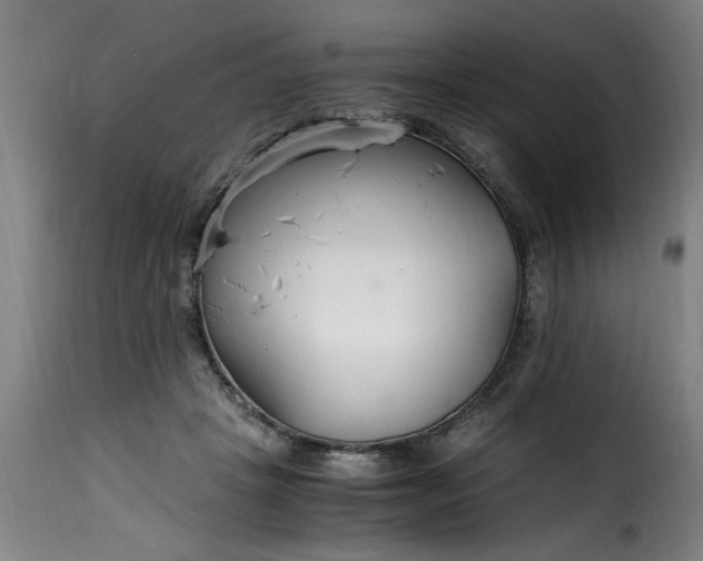 X0000115480457200911201843