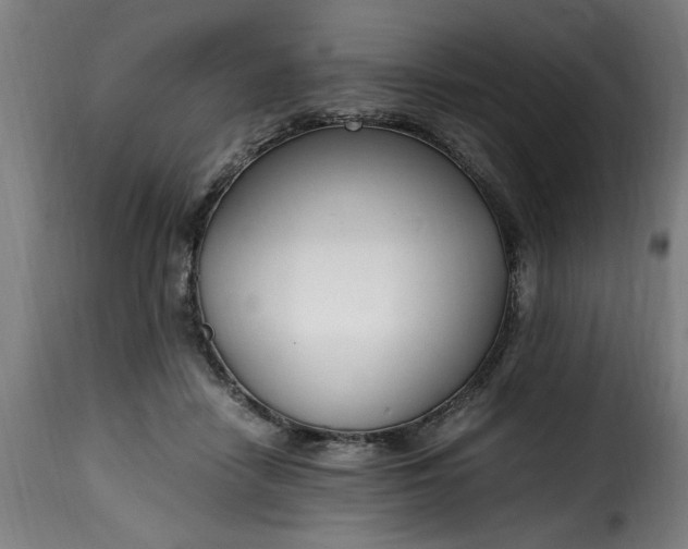 X0000115480458200911201843