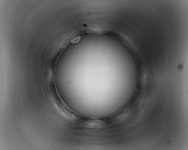 X0000115480459200911201843