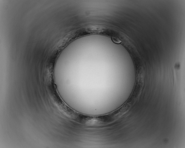 X0000115480460200911201843