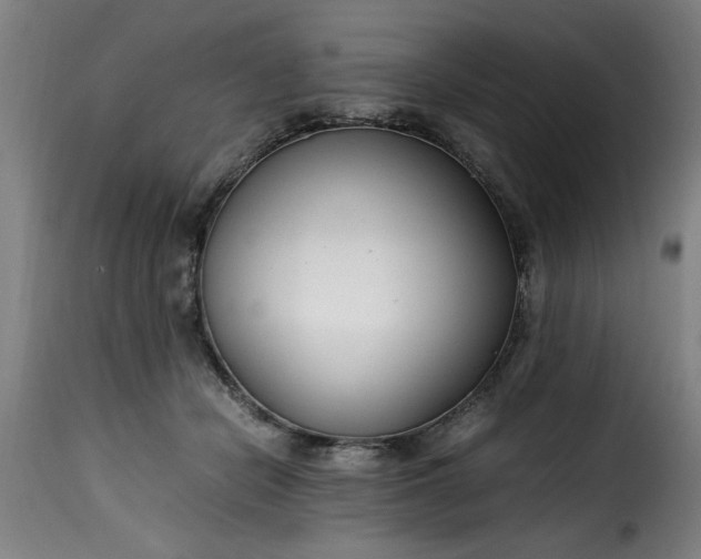 X0000115480462200911201843