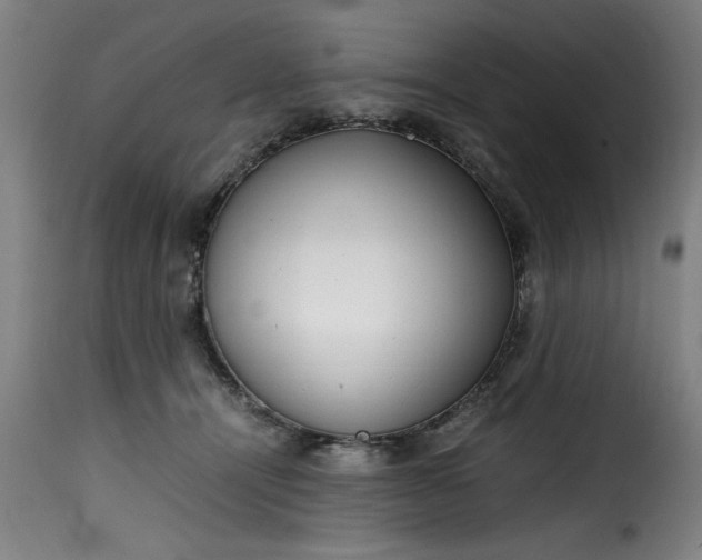 X0000115480464200911201843