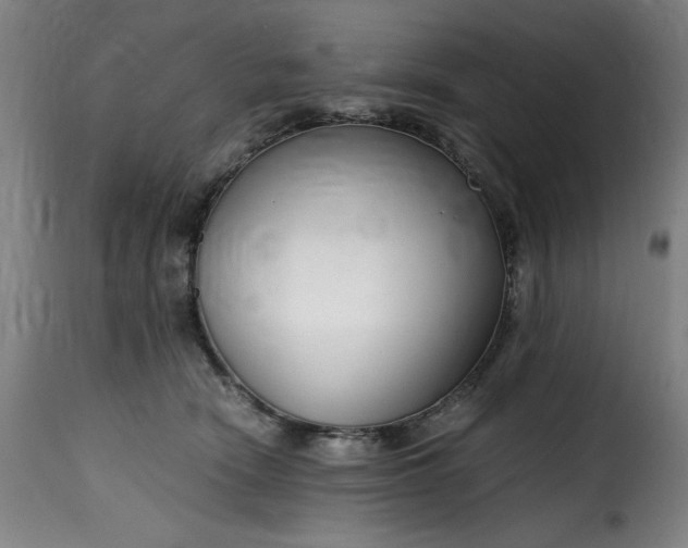 X0000115480466200911201844