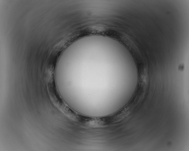 X0000115480468200911201844