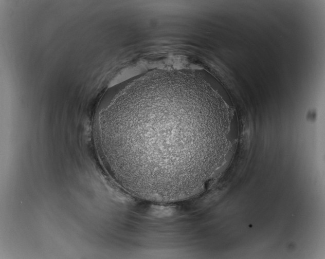 X0000115480469200911201844