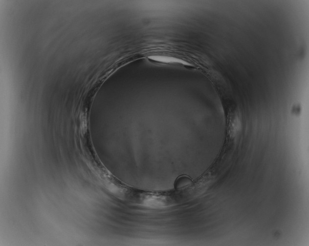 X0000115480471200911201844