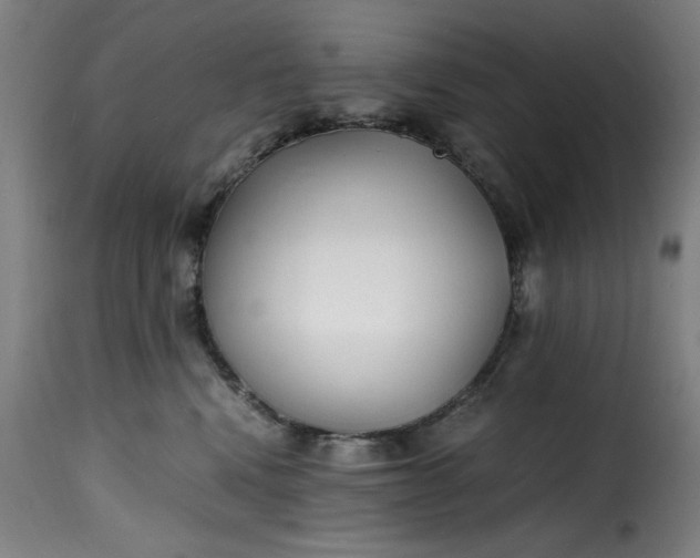 X0000115480472200911201844