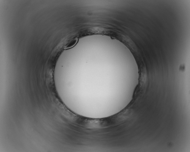 X0000115480473200911201844