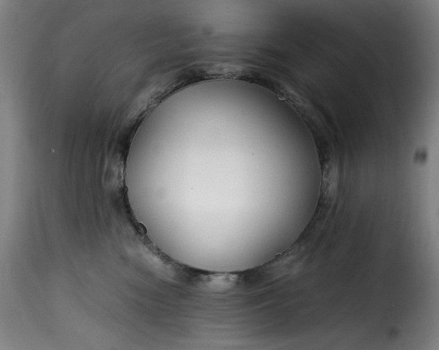 X0000115480474200911201844