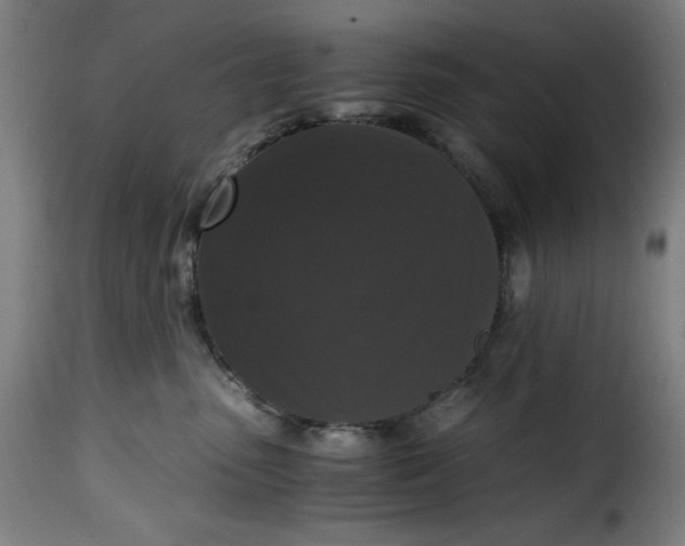 X0000115480475200911201844