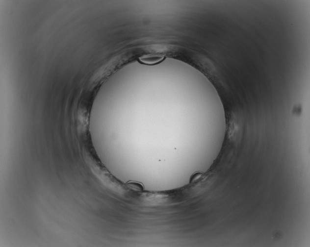 X0000115480476200911201844