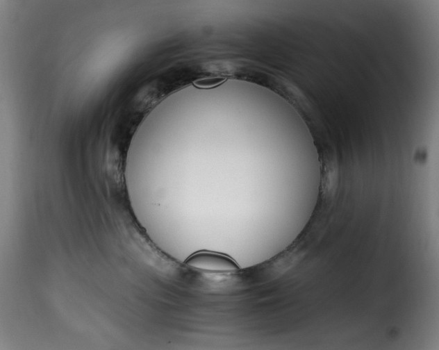 X0000115480477200911201844