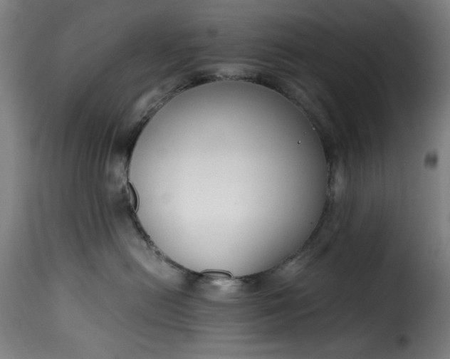 X0000115480478200911201844