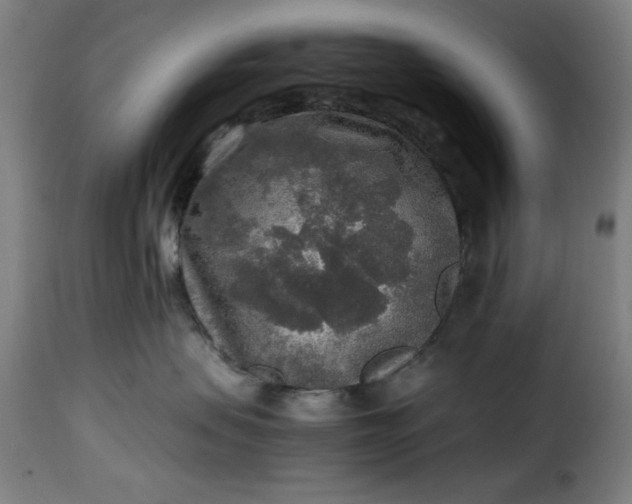 X0000115480479200911201844