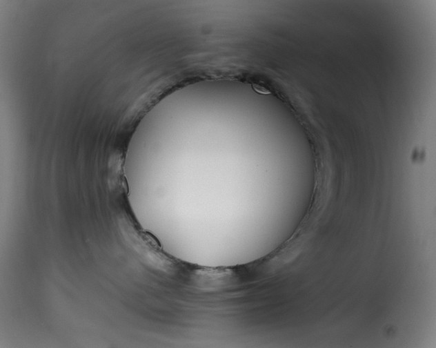 X0000115480480200911201844