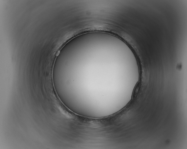 X0000115480481200911201843