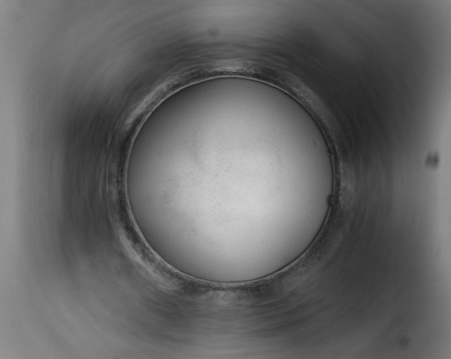 X0000115480482200911201843