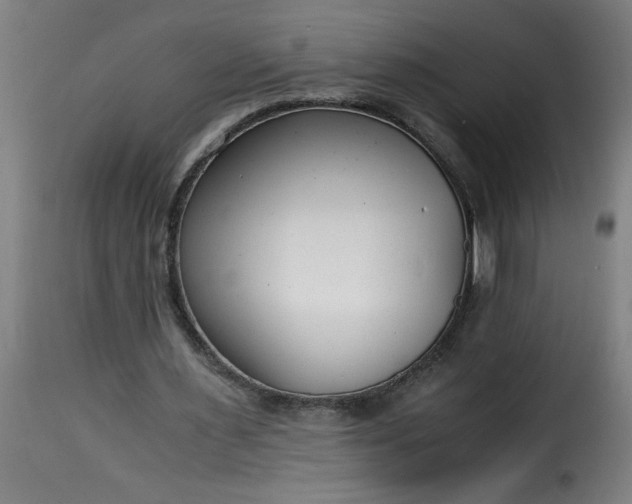 X0000115480483200911201843