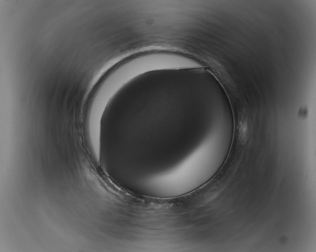 X0000115480484200911201843