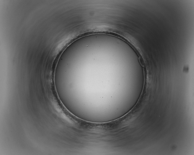 X0000115480485200911201843