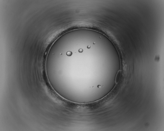 X0000115480487200911201843