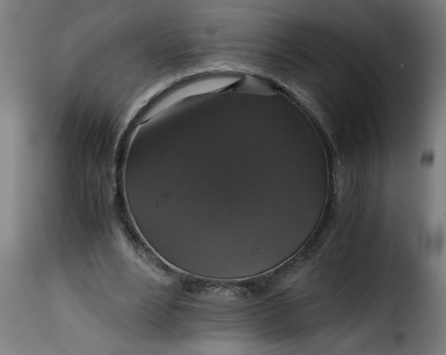 X0000115480488200911201843